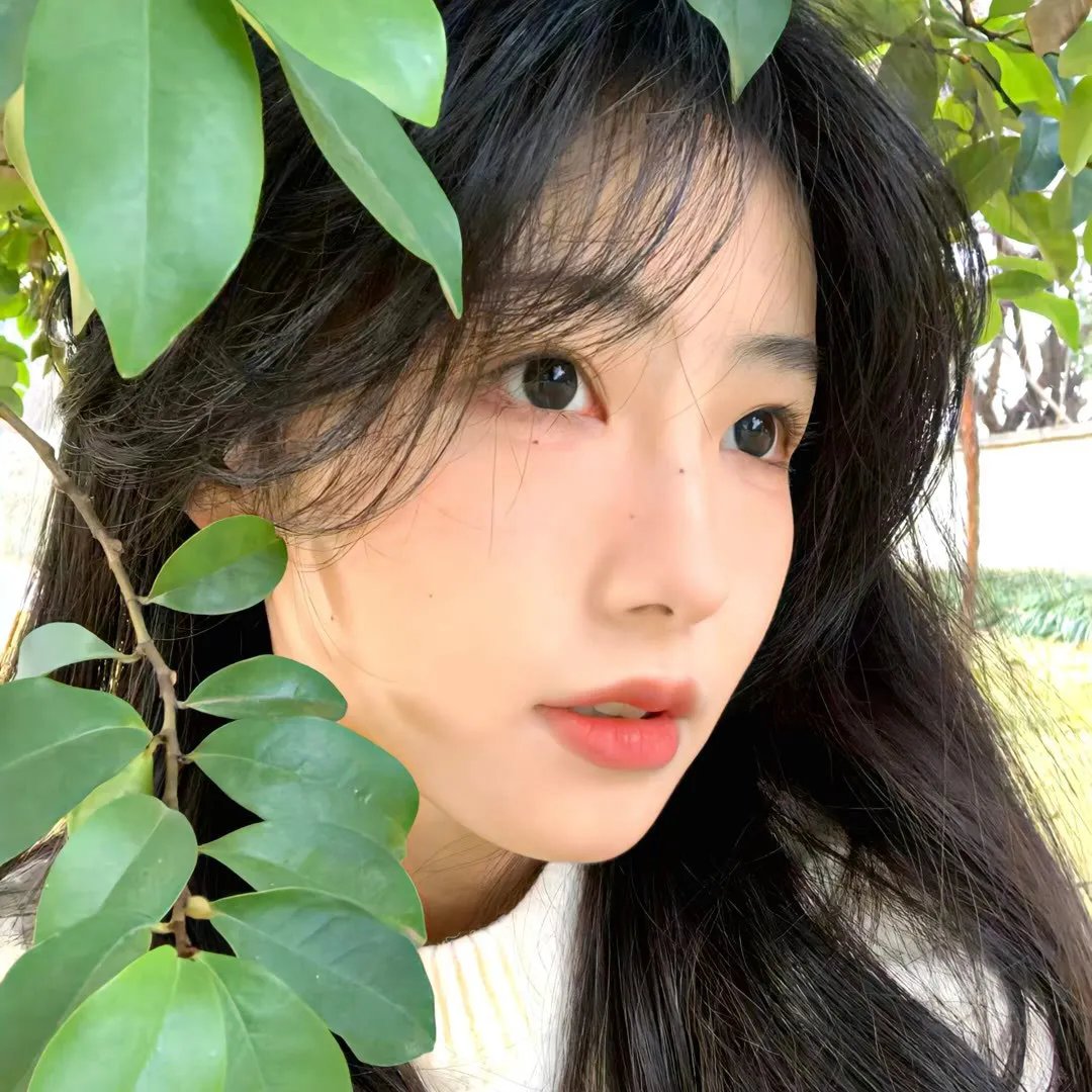 马戏团迷情