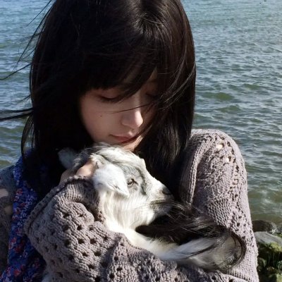 上海女子图鉴